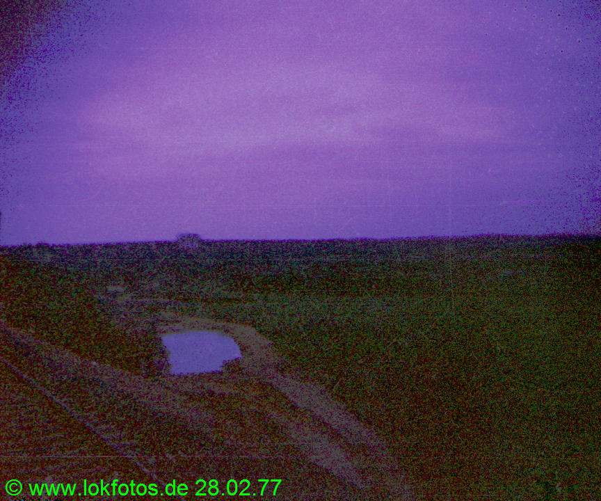 Foto 00011