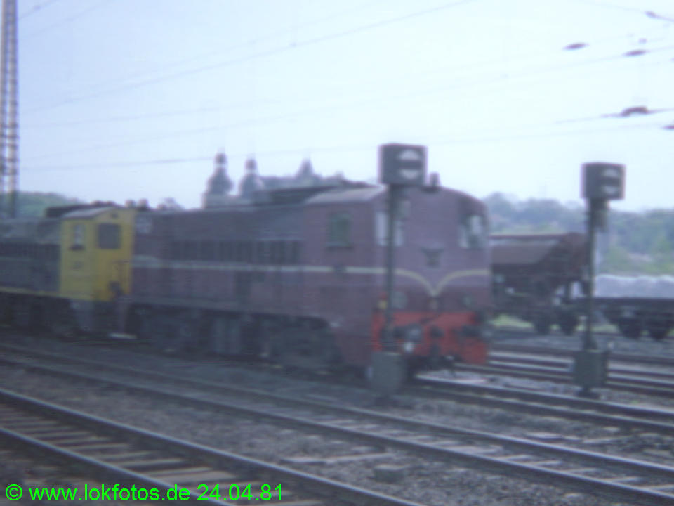 Foto 00549