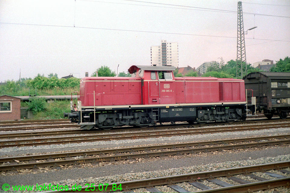 Foto 03908